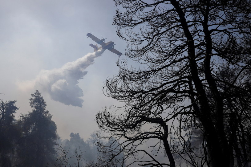 Samolot gaśniczy w akcji w pobliżu Aten /COSTAS BALTAS /© 2021 Reuters