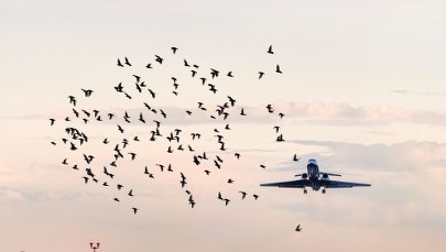 Samolot LOT-u musiał zawrócić do Warszawy. Incydent w powietrzu