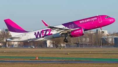 Samolot przymusowo zawrócony do Warszawy. Zderzył się z ptakiem