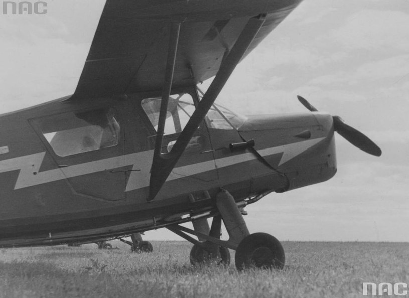 Samolot RWD-13 na płycie lotniska /Z archiwum Narodowego Archiwum Cyfrowego