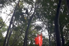 Samolot spadł na drzewa. Pilot został uratowany po 13 godzinach 