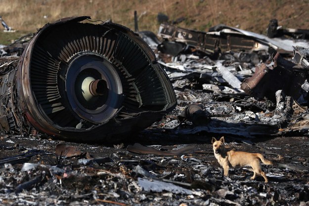 Samolot został zestrzelony nad Ukrainą 17 lipca 2014 roku /PAP/ITAR-TASS/Pochuyev Mikhail /