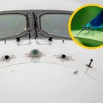 Samoloty Airbusa mają latać jak ważki? Projekt "DragonFly" zmieni lotnictwo