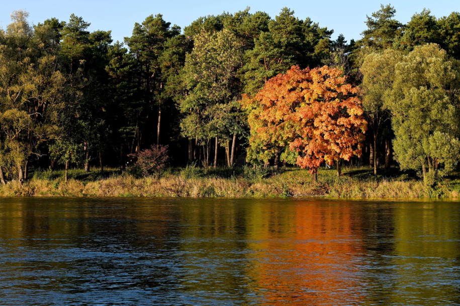 San jesienią /Darek Delmanowicz /PAP