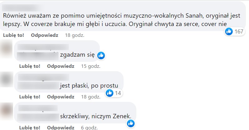 Sanah oceniona przez graczy na Facebooku /Facebook /materiał zewnętrzny