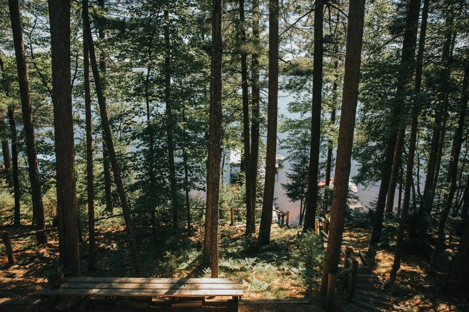 Sanepid kontroluje obozy i kolonie. Posypały się mandaty (zdjęcie ilustracyjne) /Shutterstock