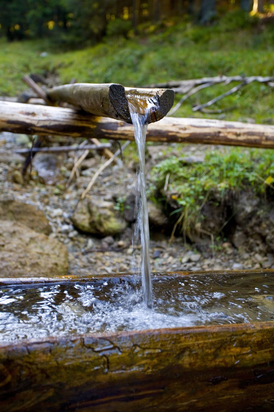 Sanepid ostrzega, by nie pić wody źródlanej. /Jerzy Ochoński   /PAP