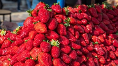 Sanepid ostrzega! Te truskawki są skażone wirusem