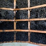 ​Sanepid zbada miejskie tężnie w całej Polsce