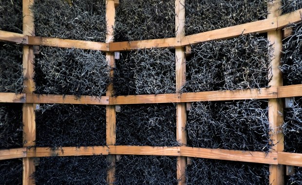 ​Sanepid zbada miejskie tężnie w całej Polsce