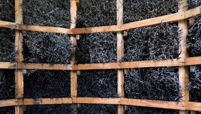 ​Sanepid zbada miejskie tężnie w całej Polsce