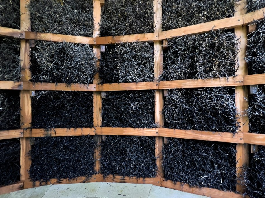 Sanepid zbada tężnie w całej Polsce /Jerzy Ochoński   /PAP