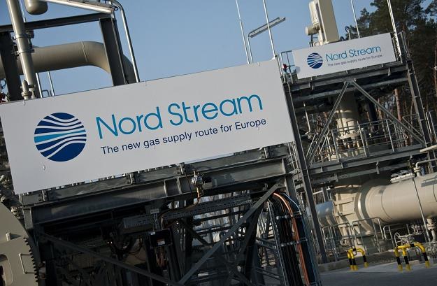 Sankcje mogą uderzyć w koncerny z kilku unijnych krajów, które planują budowę Nord Stream 2 /AFP