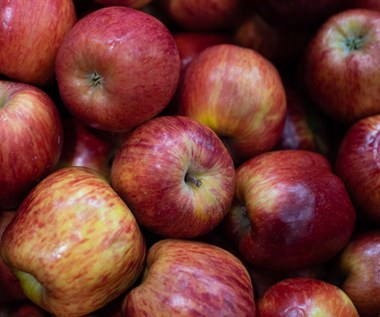 Sankcje uderzyły w sadowników. Trwa skup polskich jabłek