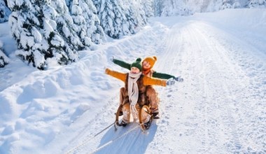 Sanki w promocji w Carrefour! Wykorzystaj śnieżne dni póki można