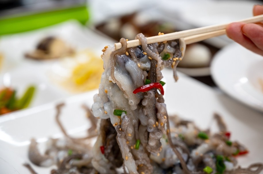 Sannakji to potrawa składająca się z żywych fragmentów ośmiornicy /Shutterstock