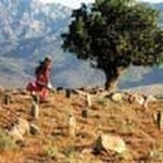 Sanok zamiast Kazimierza Dolnego