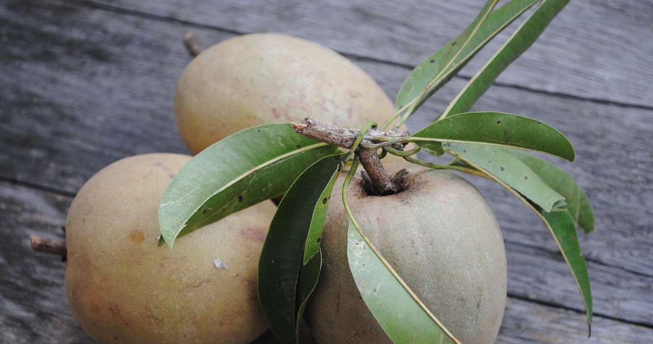 Саподіла - екзотичний фрукт з карамельним смаком. Він містить багато корисних речовин /pixabay.com
