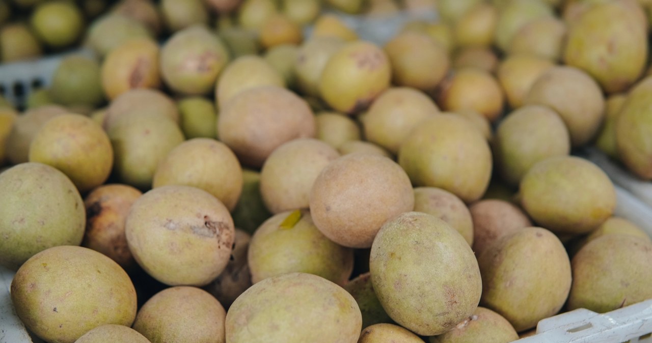 Sapodilla to egzotyczny owoc, który wyglądem nieco przypomina ziemniaka. Jakie posiada właściwości? /East News