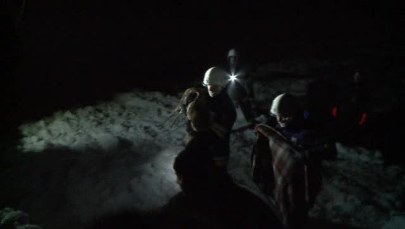 Sarny dryfujące po Bałtyku uratowane