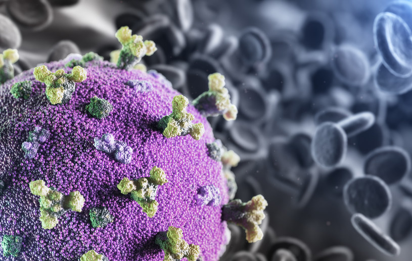 SARS-CoV-2 utrzymuje się dłużej na skórze niż wirus grypy /123RF/PICSEL