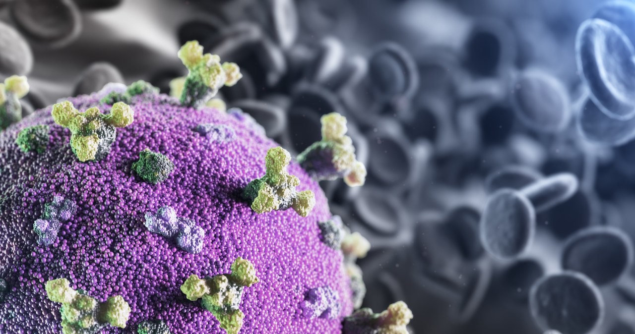 SARS-CoV-2 utrzymuje się dłużej na skórze niż wirus grypy /123RF/PICSEL