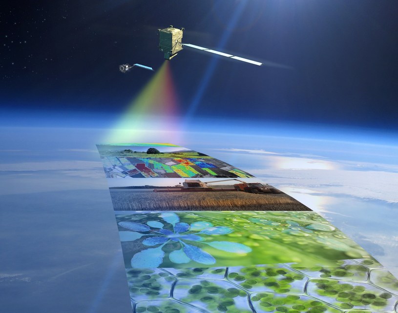Satelita FLEX (na pierwszym planie) w tandemie z satelitą Sentinel-3 - wizja artystyczna / Credit: ESA/ATG medialab /materiały prasowe