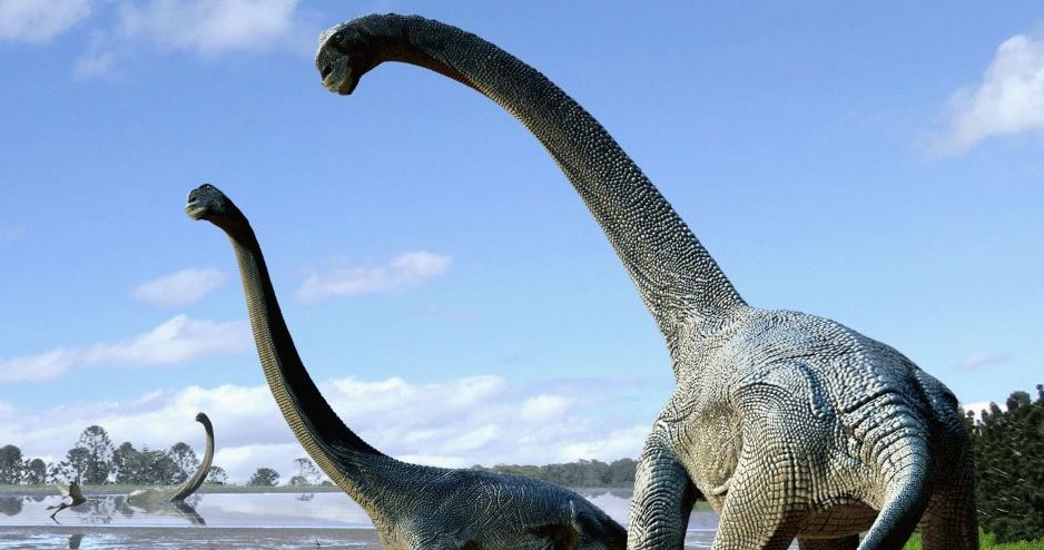 Savannasaurus elliottorum - nowo odkryty gatunek tytanozaurów /materiały prasowe