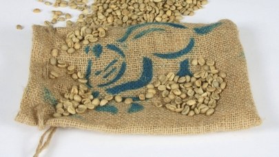 Savoir-vivre: Foyer, borsalino, kopi luwak...