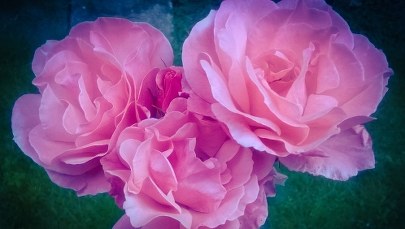 Savoir-vivre: Jak być uprzejmym wobec pań nie tylko w Dzień Kobiet?