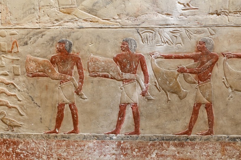 Sceny wyryte w egipskiej nekropolii Sakkara /123RF/PICSEL