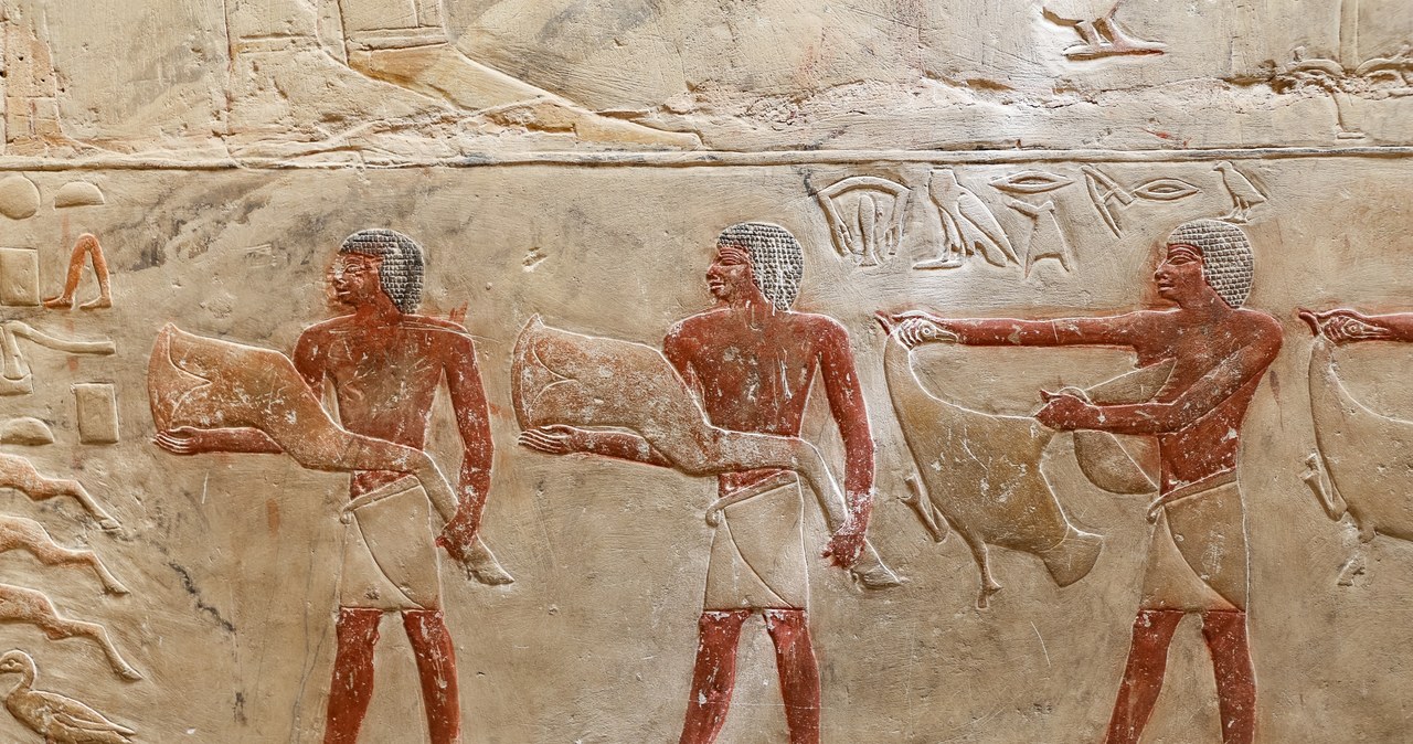 Sceny wyryte w egipskiej nekropolii Sakkara /123RF/PICSEL