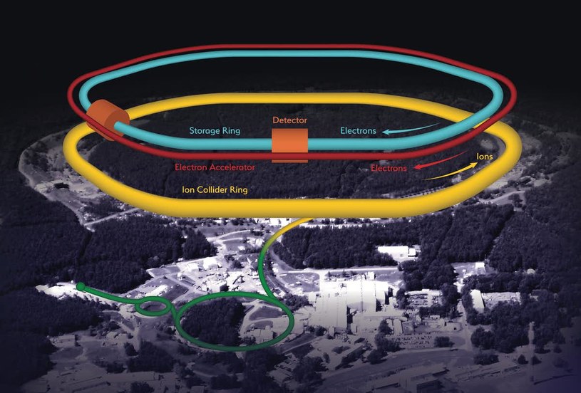 Schemat EIC /Fot. Brookhaven National Lab /materiały prasowe