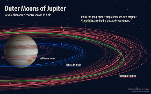 Schemat grup księzyców Jowisza, pogrubione są orbity księżyców, które teraz odkryto. Na zielono oznaczono orbitę "dziwnego" księżyca Valetudo /Roberto Molar-Candanosa/ Carnegie Institution for Science /Materiały prasowe