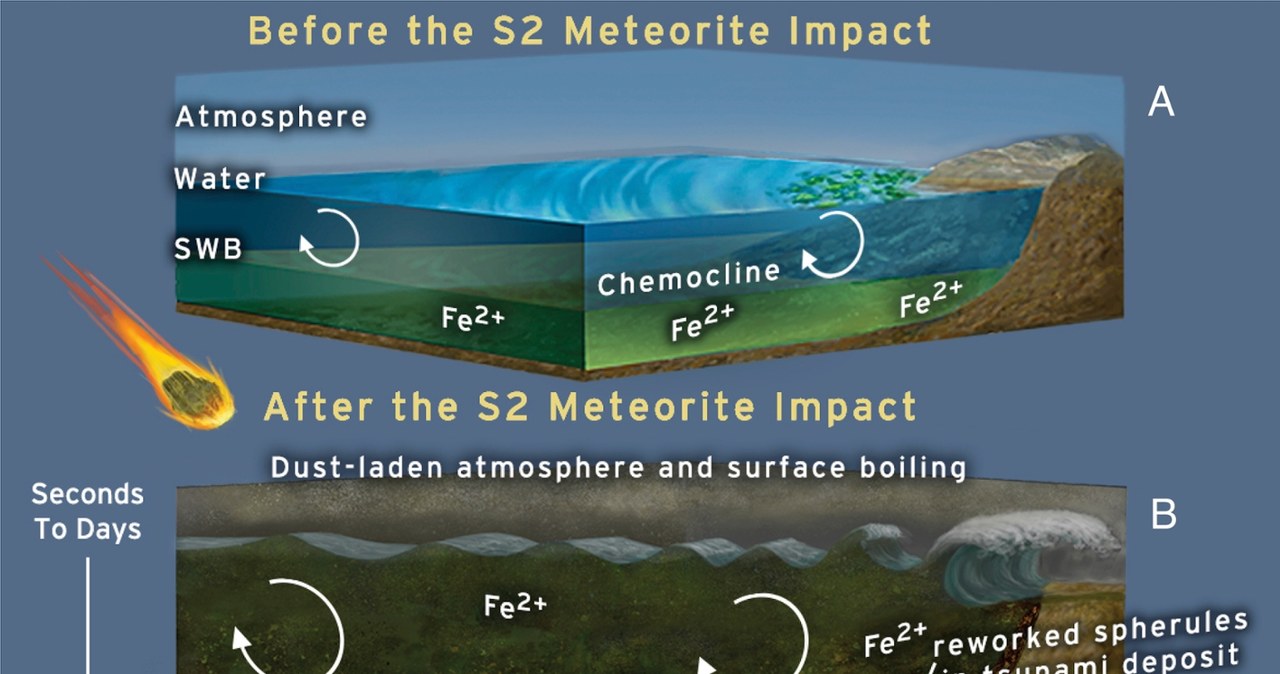 Reprezentarea schematică a efectelor potențiale de impact "S2" Despre mediul Pământului și evoluția vieții. https://doi.org/10.1073/pnas.240872112 /Materiale externe