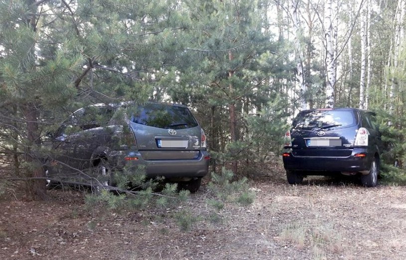 Schowane w lesie Toyoty Corolle Verso /Policja