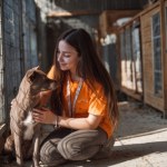 Schroniska pod lupą. Jak wygląda codzienność "od środka"? 