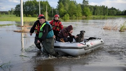 Schronisko dla psów w Borku prosi o pomoc. "Woda rośnie w oczach"