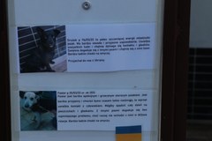 Schronisko dla zwierząt w Krakowie