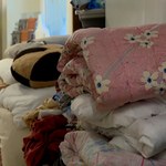 Schronisko to nie śmietnisko. Co Polacy oddają dla bezdomnych zwierząt? 