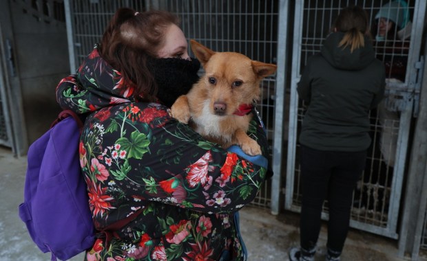 Schronisko w Sobolewie pod lupą NIK. Rzecznik zapowiada kontrolę