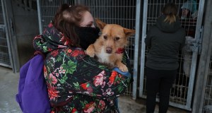 Schronisko w Sobolewie pod lupą NIK. Rzecznik zapowiada kontrolę