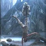 Schwarzenegger kontra Yoda