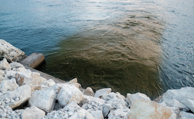 ​Ścieki w Zatoce Puckiej. Najwcześniej w środę będą wyniki badań