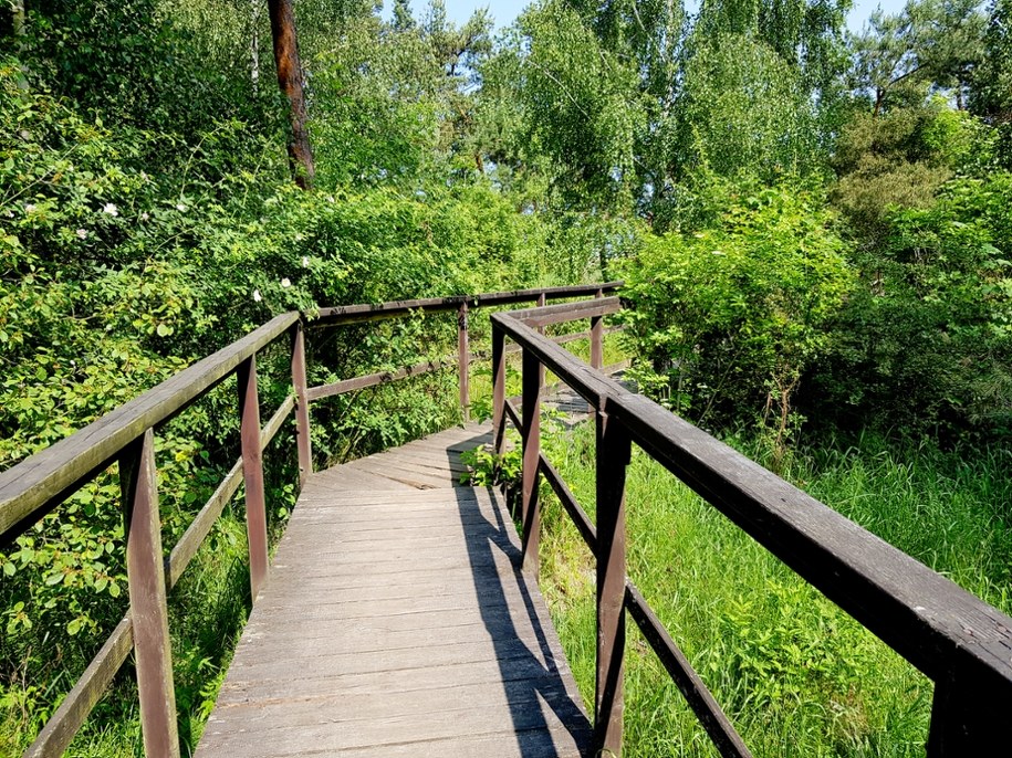 Ścieżka przyrodniczo-dydaktyczna /Shutterstock