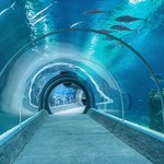 ​Ścieżka wody w łódzkim zoo
