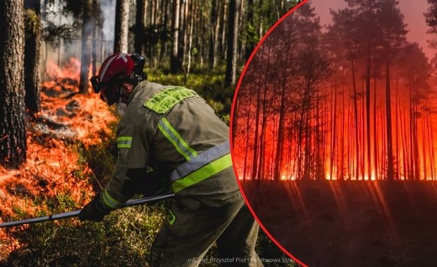 "Ściółka jest bardziej sucha niż kartka papieru". Ogień szaleje na Lubelszczyźnie