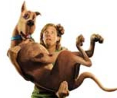 "Scooby-Doo": Rekord w USA