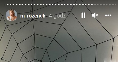Screen z : https://www.instagram.com/m_rozenek/?hl=pl /Instagram