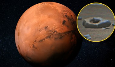 Sczerstwiały pączek na Marsie? Łazik dokonał niezwykłego odkrycia